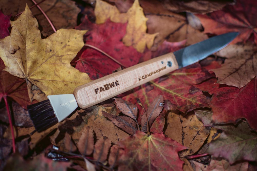 Couteau à champignons Fabwé L'Compagnon sur feuilles d'automne